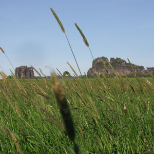 Schrammsteine und Falkenstein